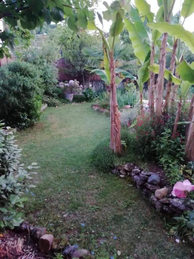 Maison De Famille A Perigueux Ngoại thất bức ảnh